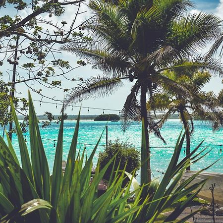 Tortuga Bacalar Bed & Breakfast エクステリア 写真