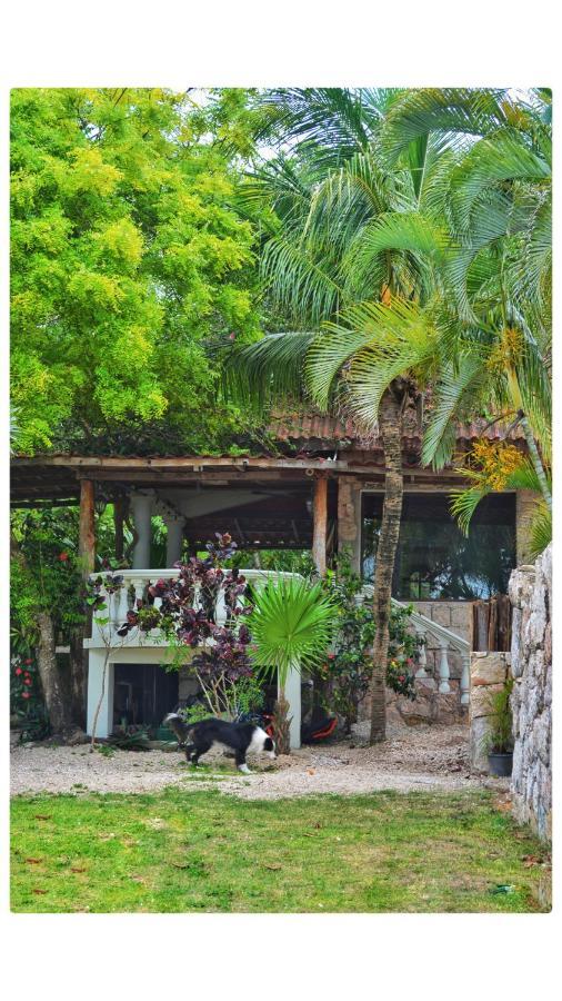 Tortuga Bacalar Bed & Breakfast エクステリア 写真