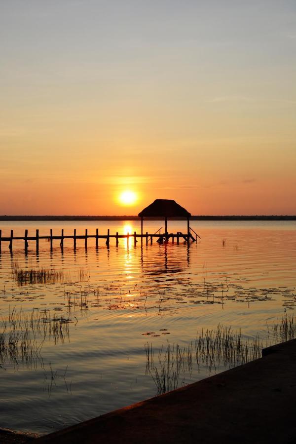 Tortuga Bacalar Bed & Breakfast エクステリア 写真