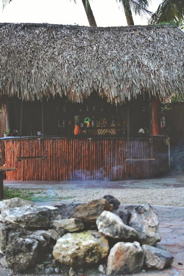 Tortuga Bacalar Bed & Breakfast エクステリア 写真