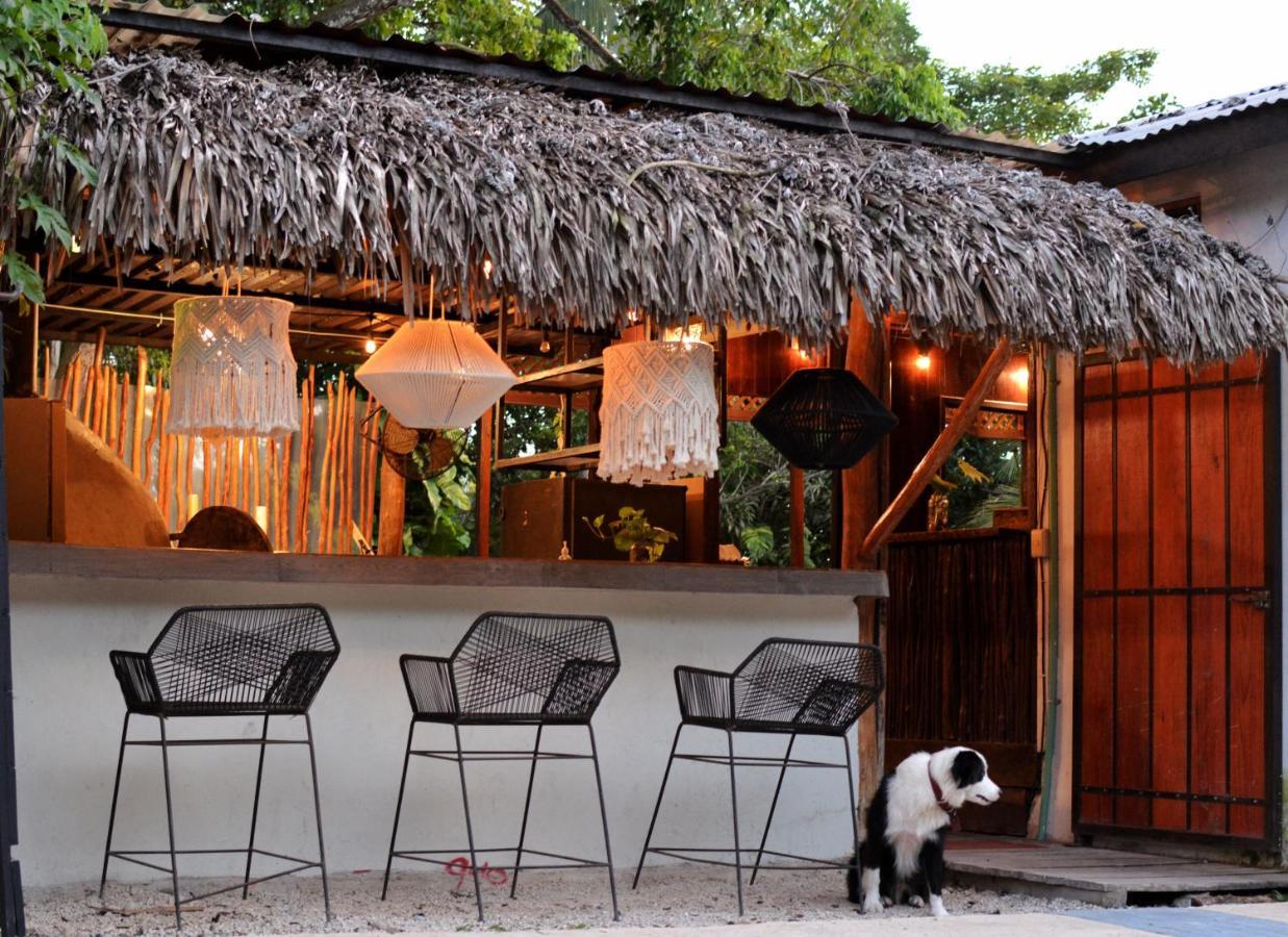 Tortuga Bacalar Bed & Breakfast エクステリア 写真