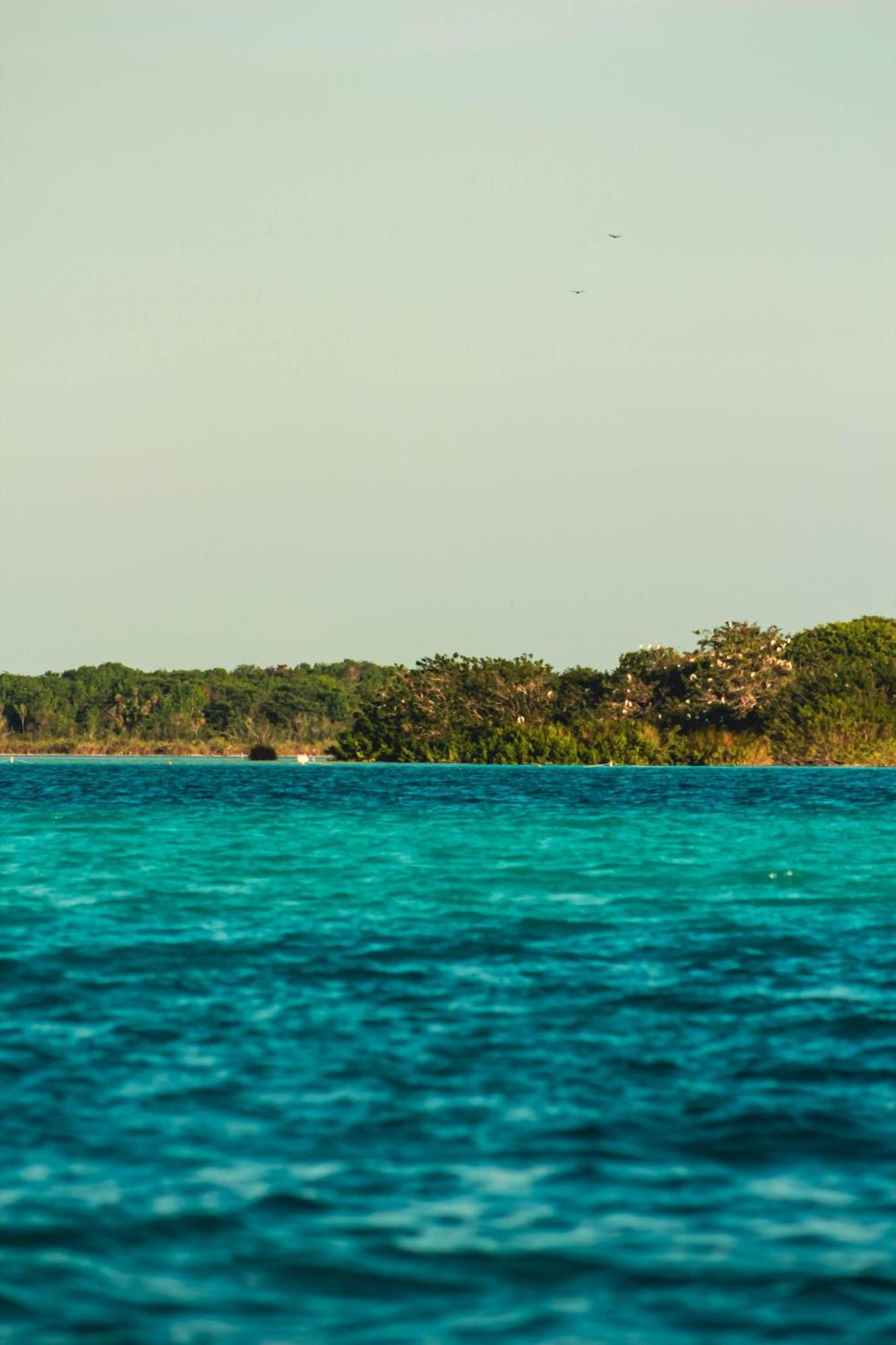 Tortuga Bacalar Bed & Breakfast エクステリア 写真