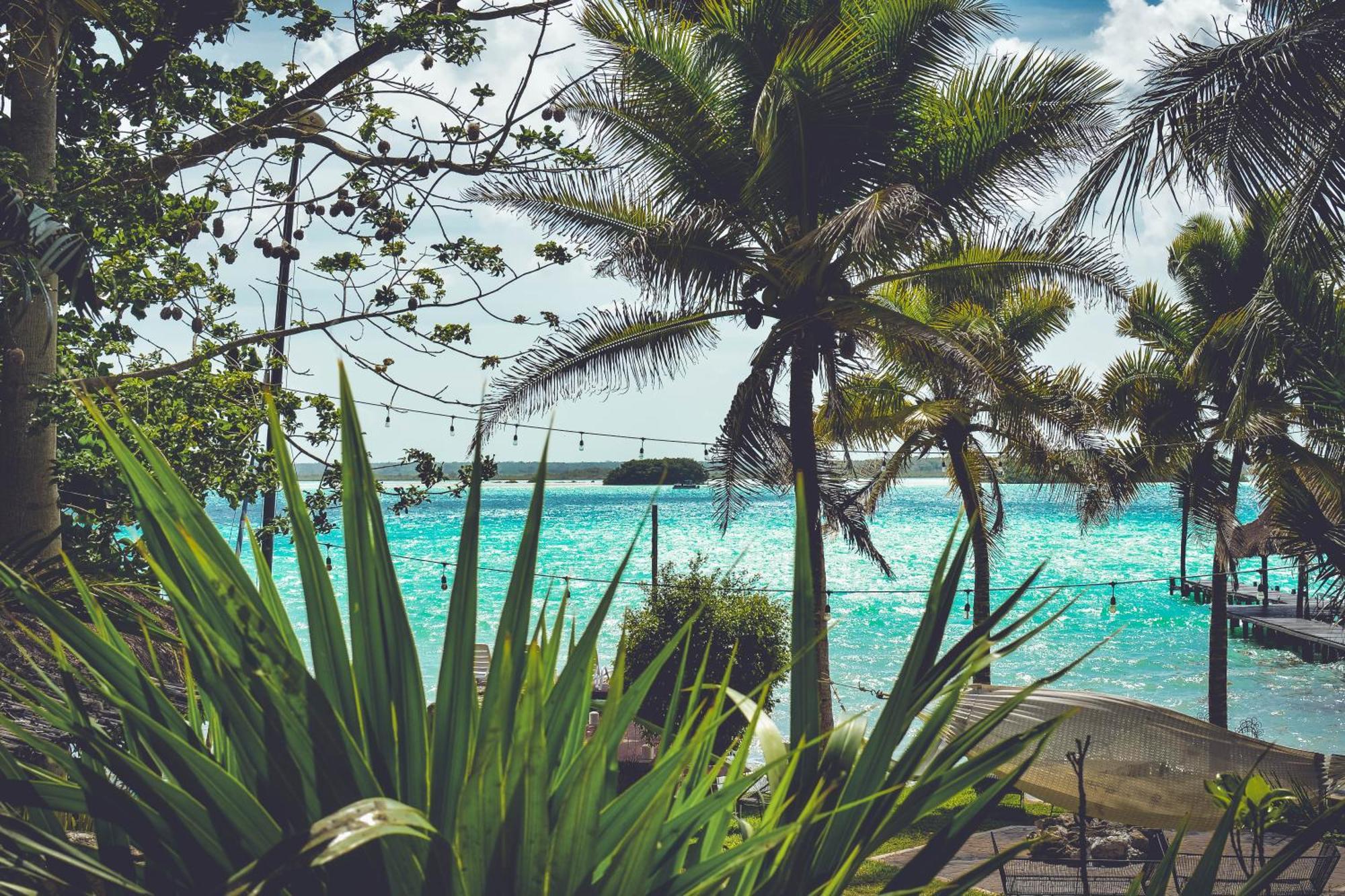 Tortuga Bacalar Bed & Breakfast エクステリア 写真