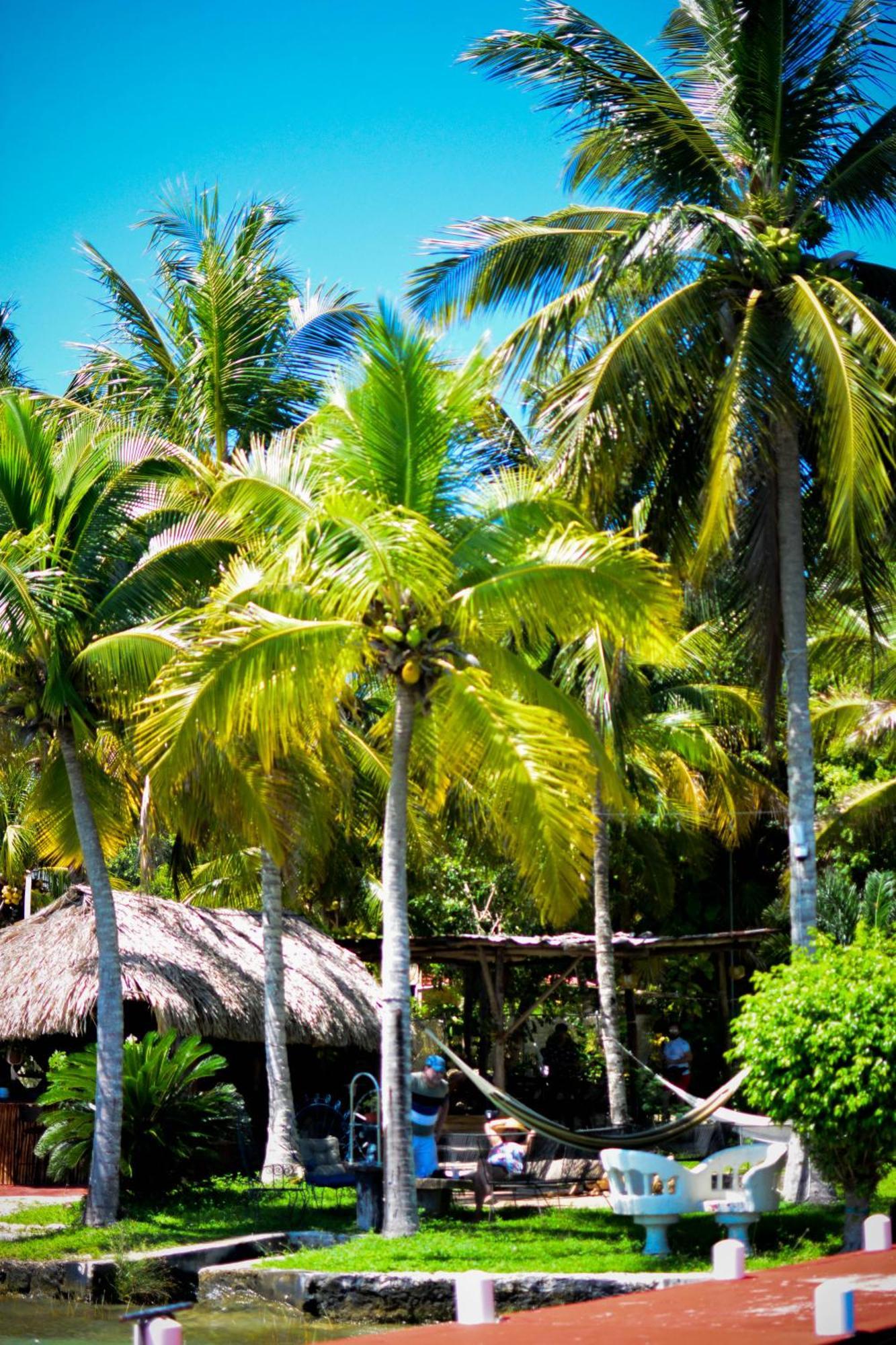 Tortuga Bacalar Bed & Breakfast エクステリア 写真